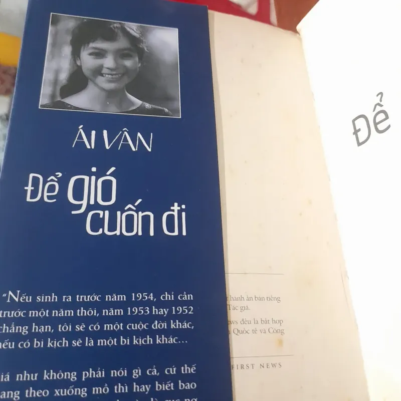 ÁI VÂN - Để gió cuốn đi (tự truyện) 590909