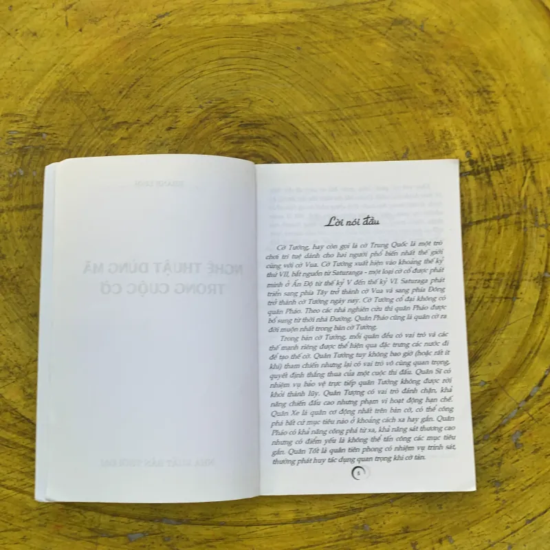 DỤNG MÃ TRONG CUỘC CỜ - Khánh Linh 791079