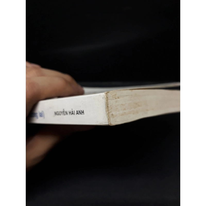 Bản lĩnh và công danh sự lựa chọn cho tương lai mới 80% bẩn bìa, ố nhẹ 2004 HCM1710 Nguyễn Hải Anh KỸ NĂNG 917048