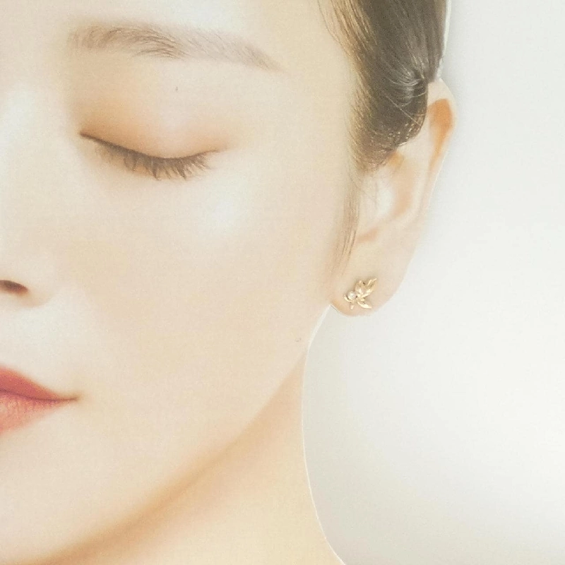 Bông tai lá ô liu Tiffany - Hàng hiệu Authentic 844975