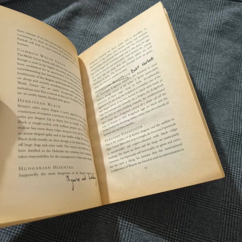 (Harry Potter) Fantastic Beasts & Where to find them - Newt Scamander 754573