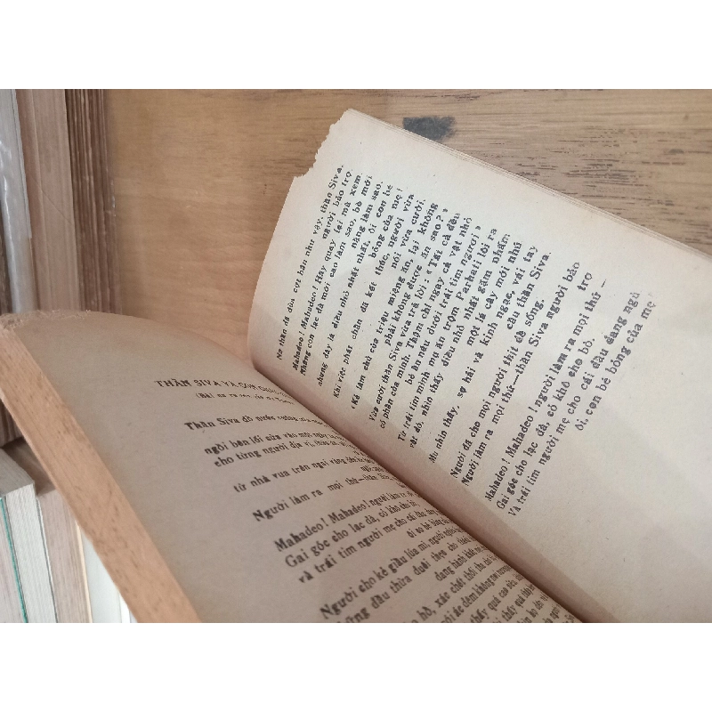 Chuyện Rừng - Rudyard Kipling 377674