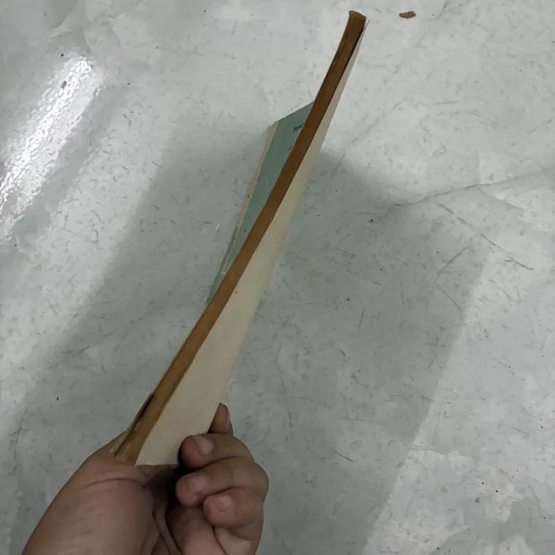 Tự đọc viết và nói đúng Tiếng Anh 990282