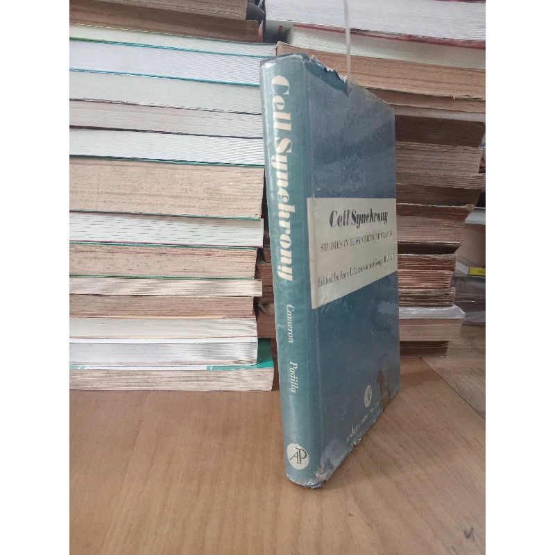 Cell Synchrony: Studies in Biosynthetic Regulation - Ivan L. Cameron, George M. Padilla 1023642