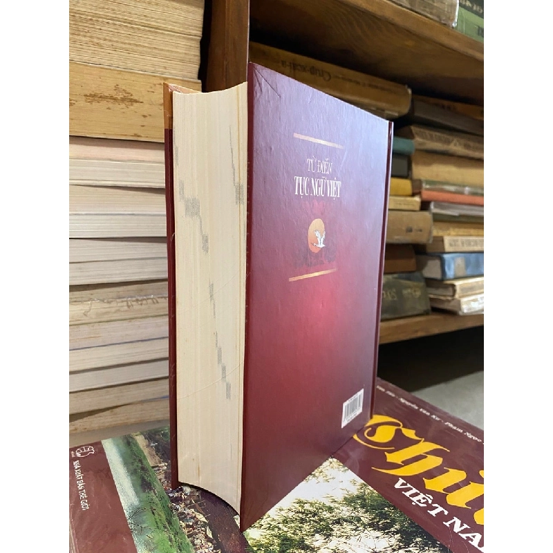 Từ điển Tục ngữ Việt - Nguyễn Đức Dương 997098