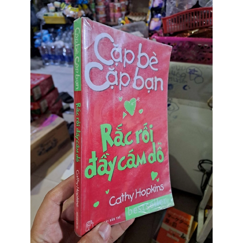 Rắc rối đầy cám dỗ - Hopkins - 2008 mới 80% ố - VĂN HỌC - HCM0111 920869