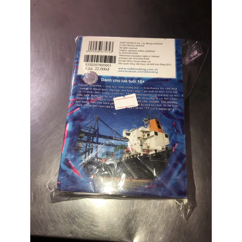 Saint - Michiyo Akaishi 973869