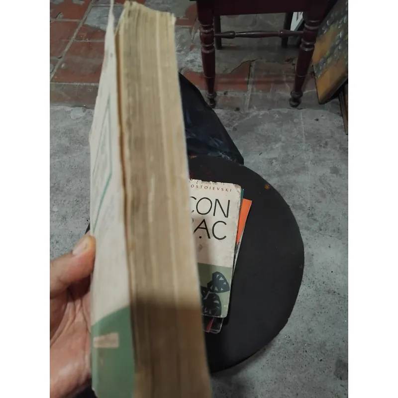 Phương pháp dưỡng sinh  1036790