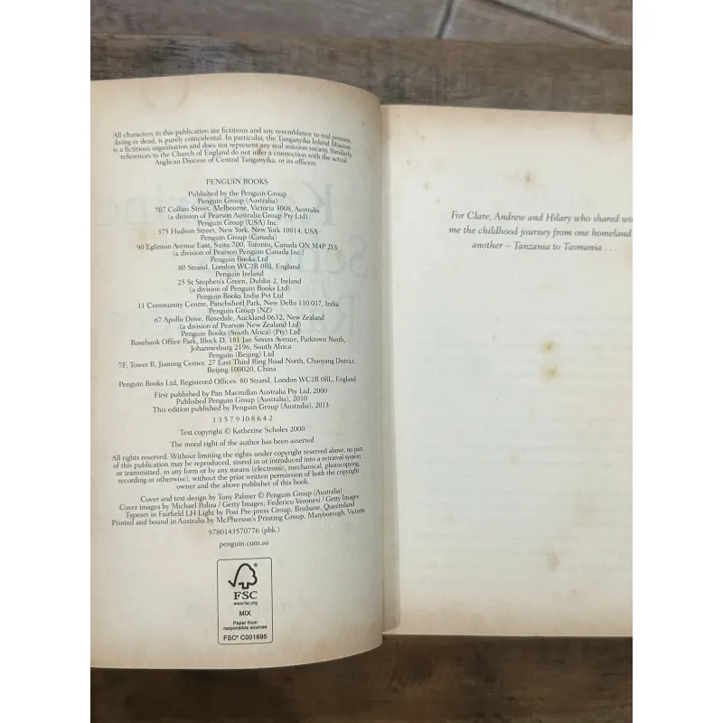 The Rain Queen - Katherine Scholes 731965