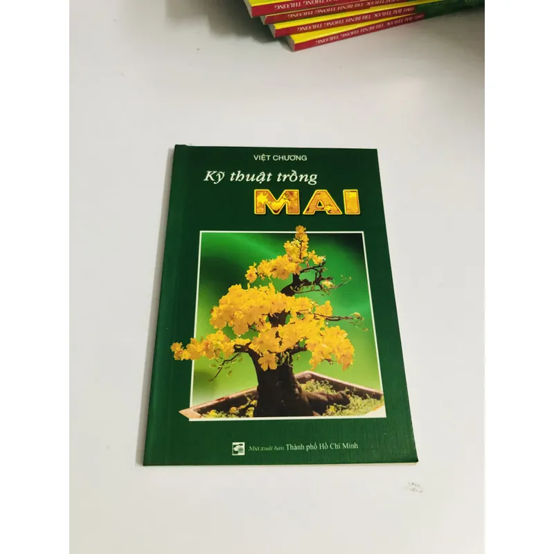 KỸ THUẬT TRỒNG MAI  594922