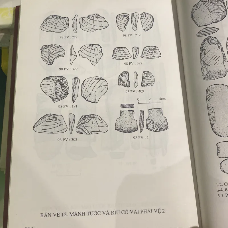 VĂN HÓA MAI PHA (THE MAI PHA CULTURE) , Bản bìa cứng, XB 2001 1008439