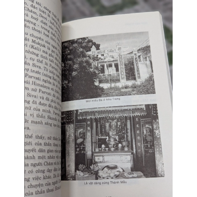 Tháp Bà Thiên Yana - Hành trình của một nữ thần - Ngô Văn Doanh 324515