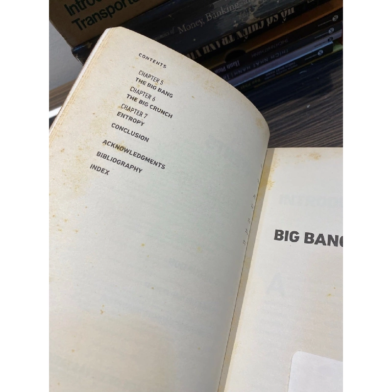 Big Bang Disruption - Larry Downes, Paul Nunes 1059588