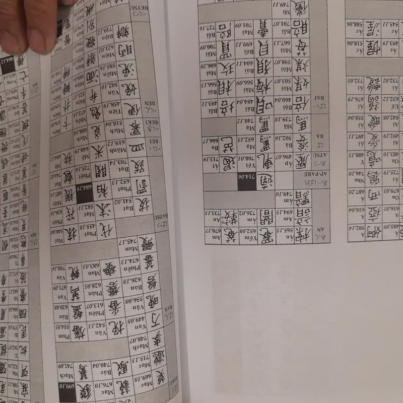 Từ điển Hán Nhật Việt. Thư pháp. Nguyễn Mạnh Hùng 576068