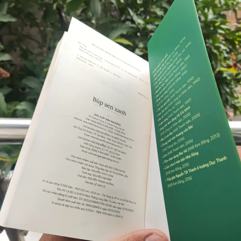 Búp Sen Xanh 928921