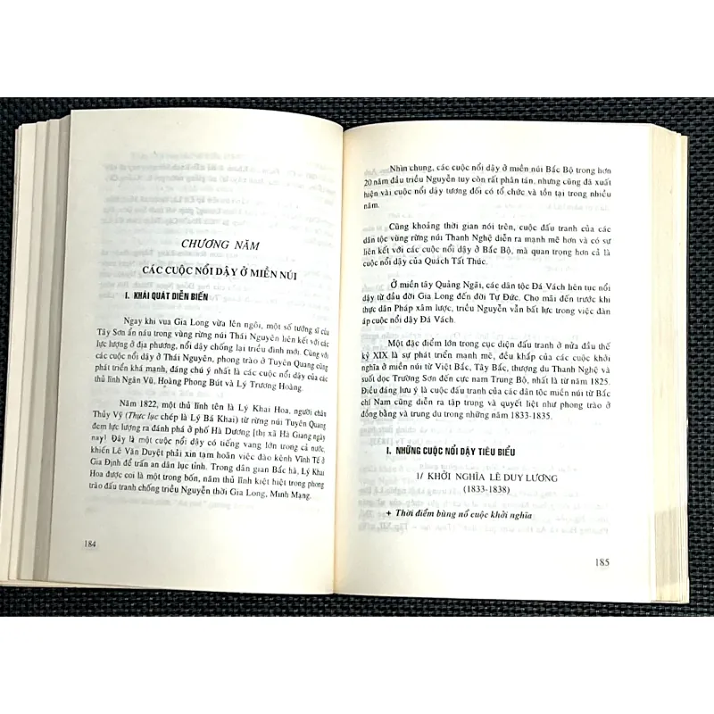 VIỆT NAM THẾ KỶ XIX ( 1802 - 1884) 1005136