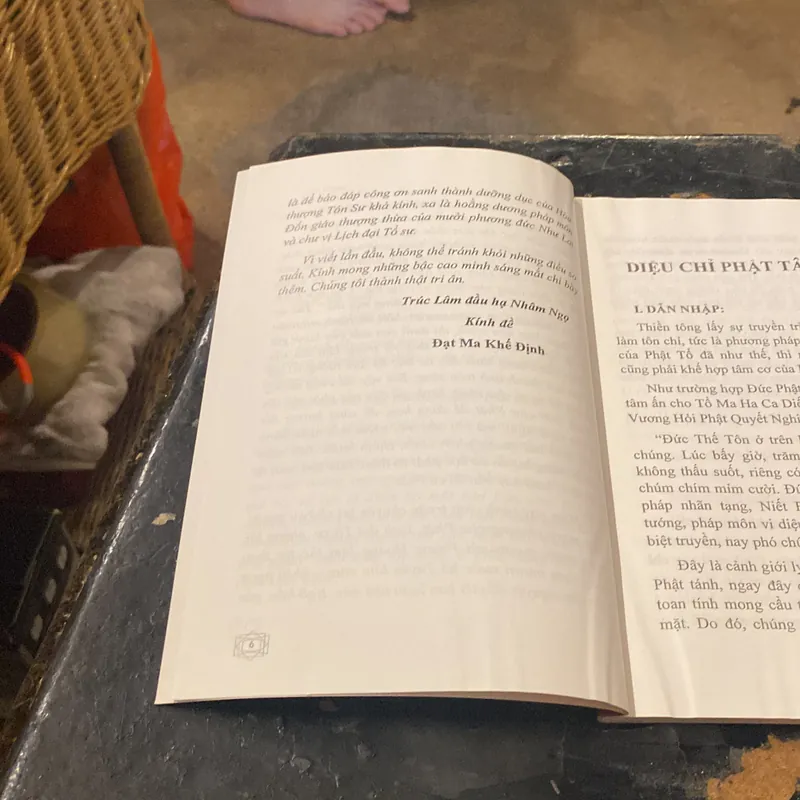 Diệu Chỉ Phật Tâm Tông- Thích Đạt Ma Khế Định 689236