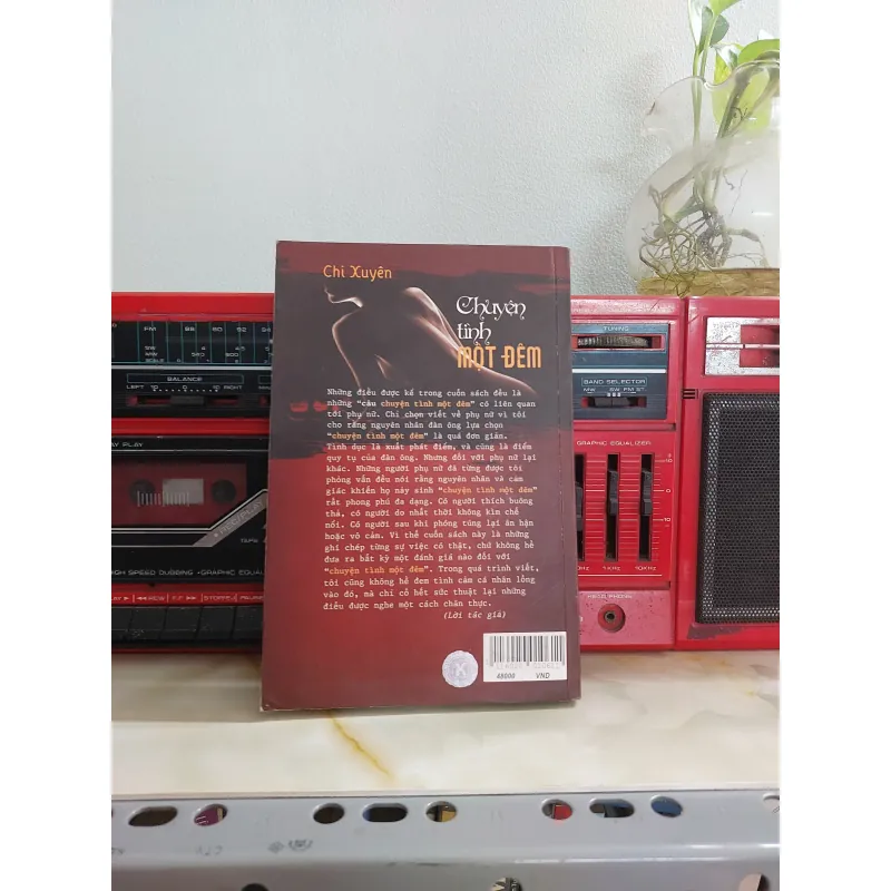 CHUYỆN TÌNH MỘT ĐÊM 1013345