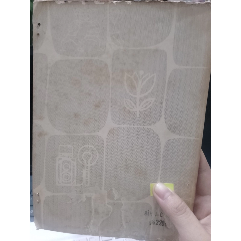 Bước đầu chụp ảnh  491335