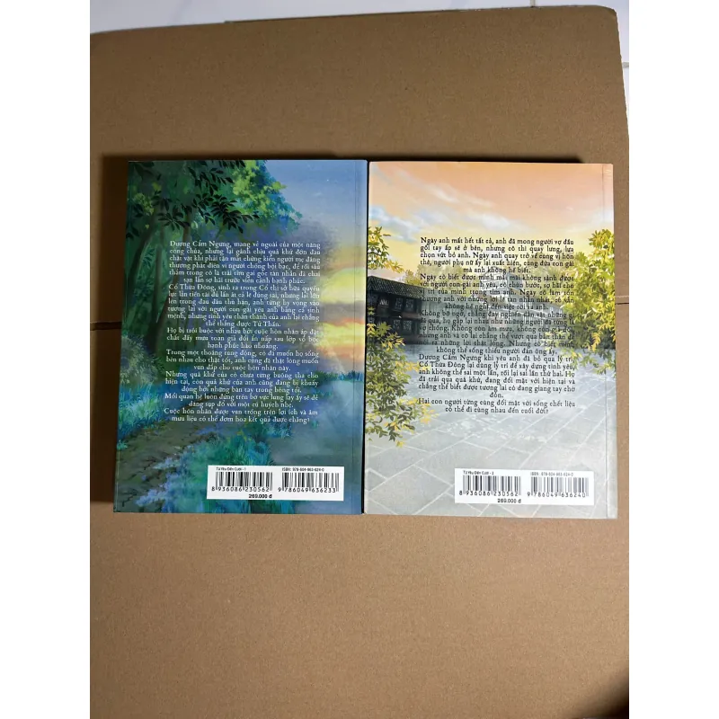 Từ Yêu Đến Cưới (Trọn Bộ 2 Tập) 135k 735370