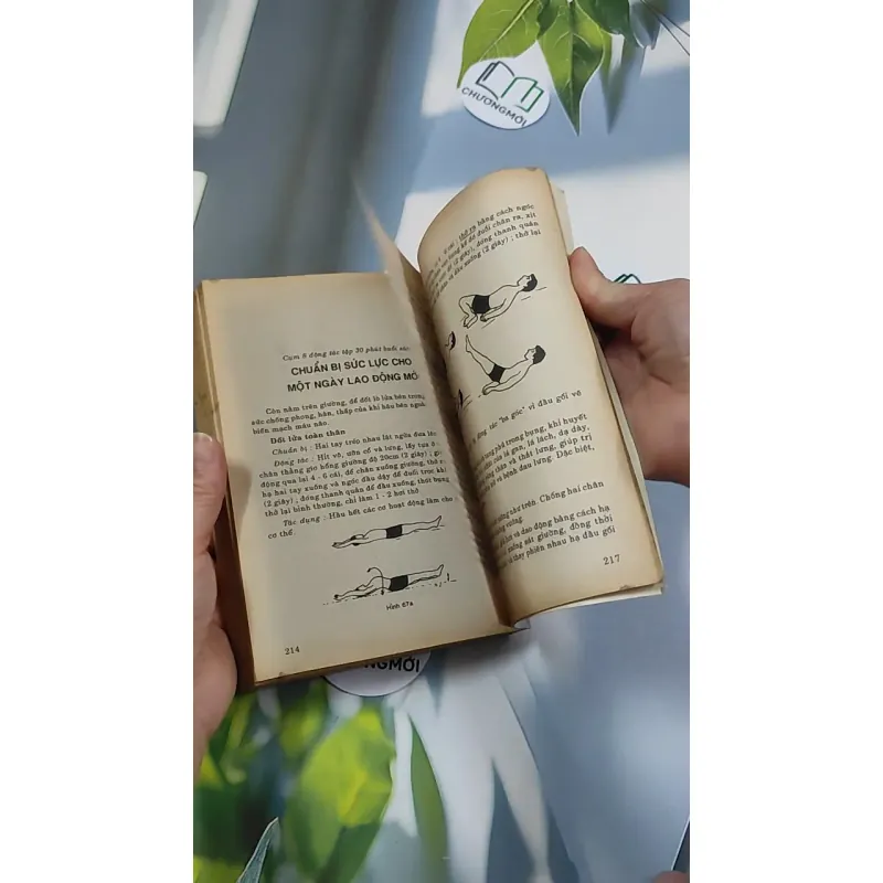 [XƯA] 6 Bí Quyết Dưỡng Sinh Người Có Tuổi (1994) 776147