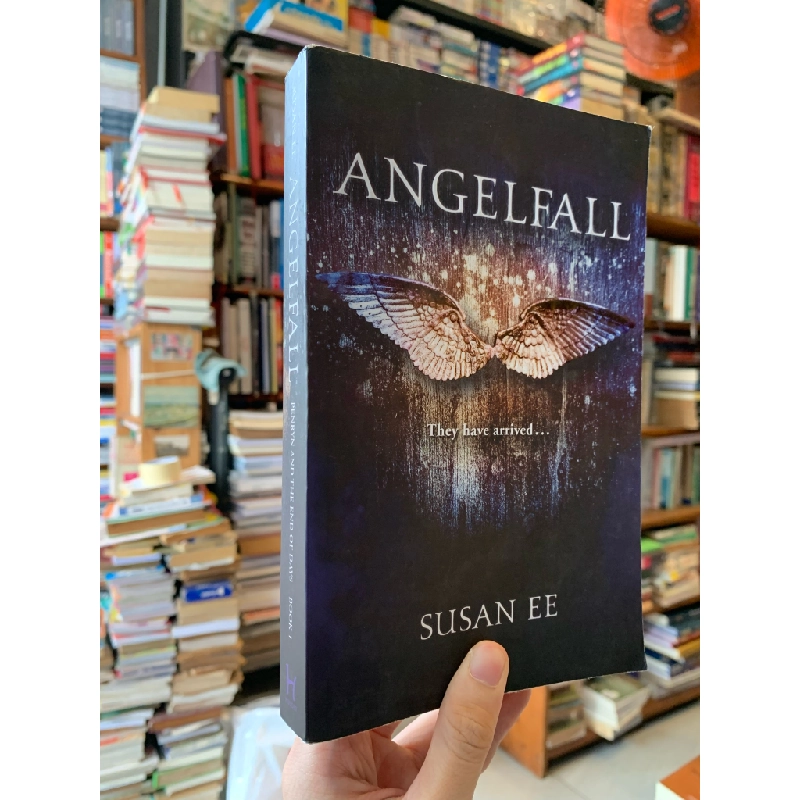 Angle Fall - Susan Lee 333883