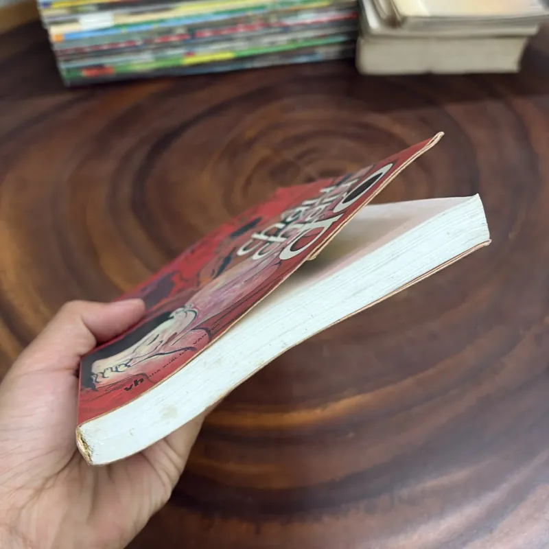 II Văn Học Trung Quốc: Châu Chấu Đỏ - Mạc Ngôn - Trần Trung Hỷ (Dịch) - 2008 997981