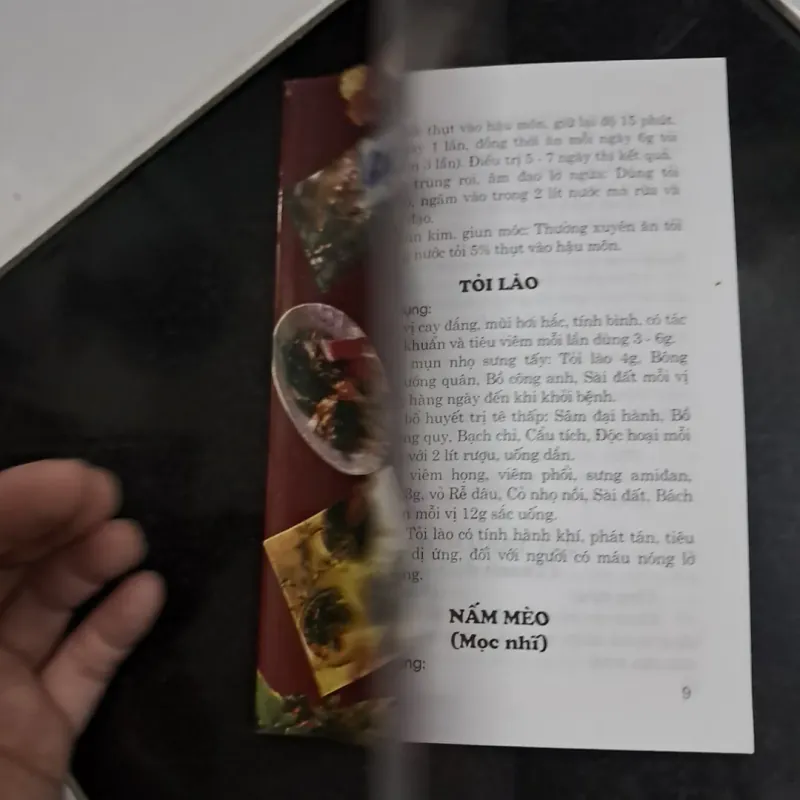 Chữa bệnh bằng cây lá quanh ta 995316