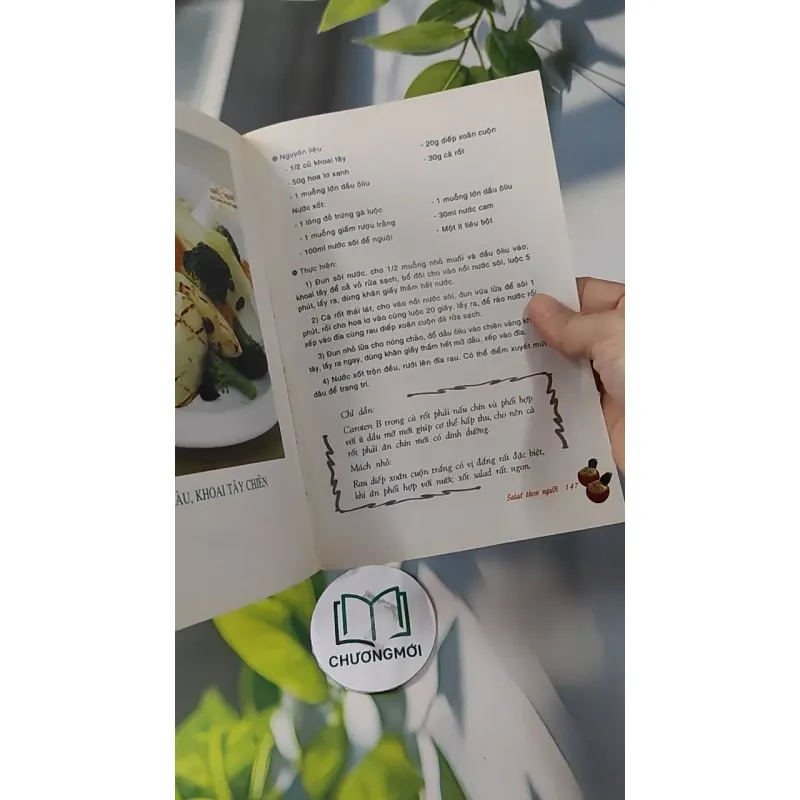 Salad Thon Người - Salad & Những Thực Phẩm Ăn Không Sợ Mập - Vũ Mai Ly & Nguyễn Xuân Quy 727252