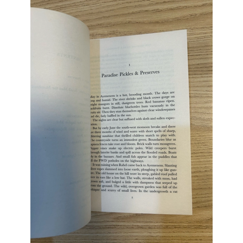 The God of Small Things (Chúa Trời của những điều vụn vặt) - Arundhati Roy (MỚI) 391299