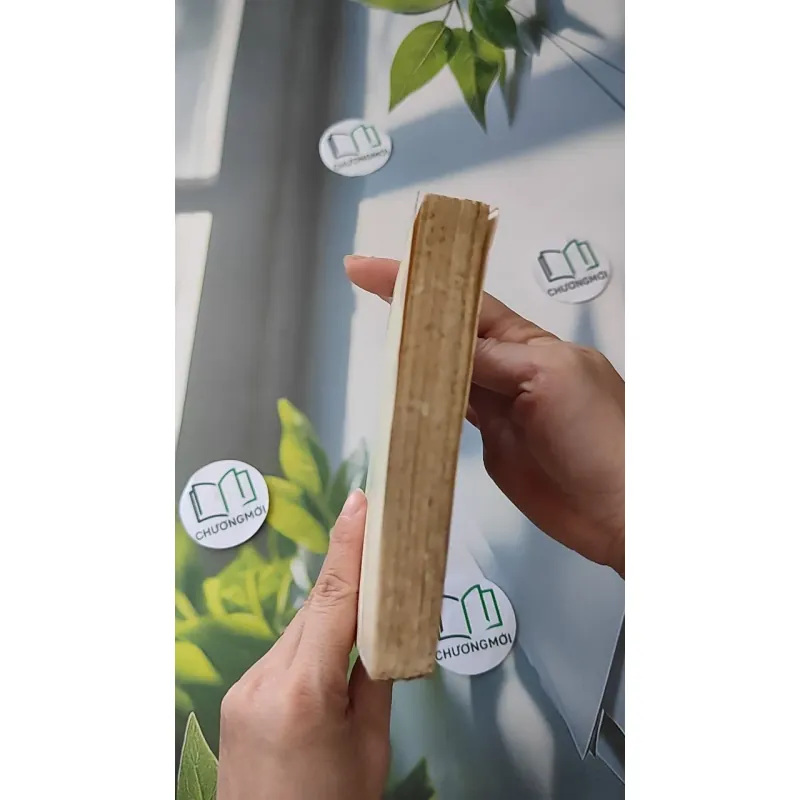 [XƯA] Dòng Xoáy (1989) - Trần Thị Nhật Tân 997586