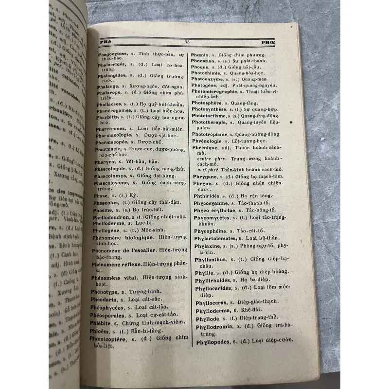 DANH TỪ KHOA HỌC - ĐÀO VĂN TIẾN 753666