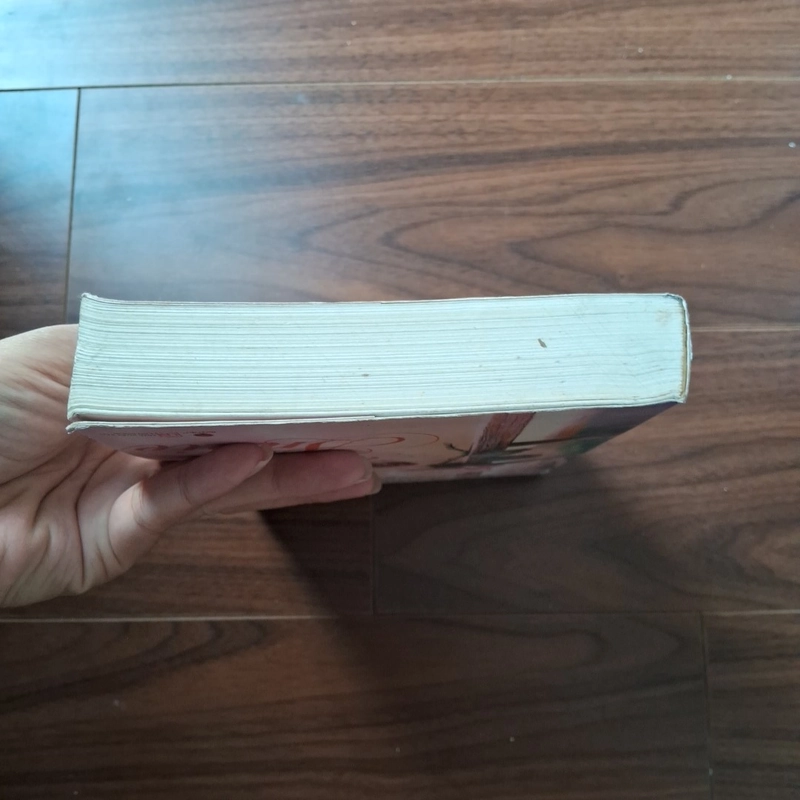 Giai điệu của aine 506054