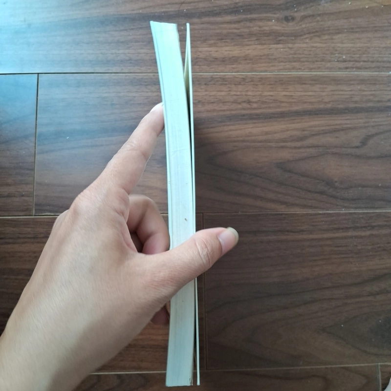 Nhưmgx người đàn ông không có đàn bà 506087