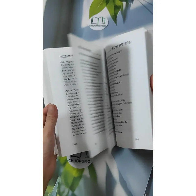 Việt Nam Bất Khuất - Việt Nam Kiên Cường - Hồng Lam Vũ Đình Hệ 928612