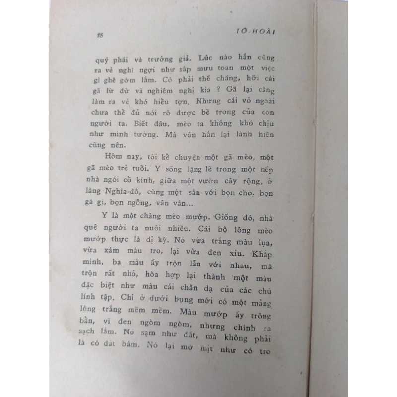 O CHUỘT - TÔ HOÀI  521165