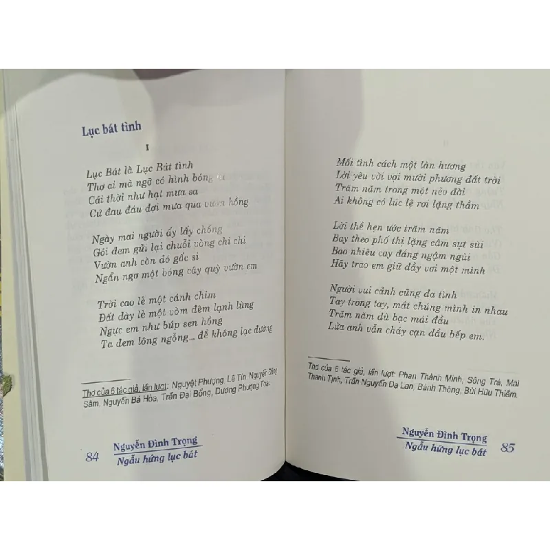 Ngẫu hứng lục bát - Nguyễn Đình Trọng 609820