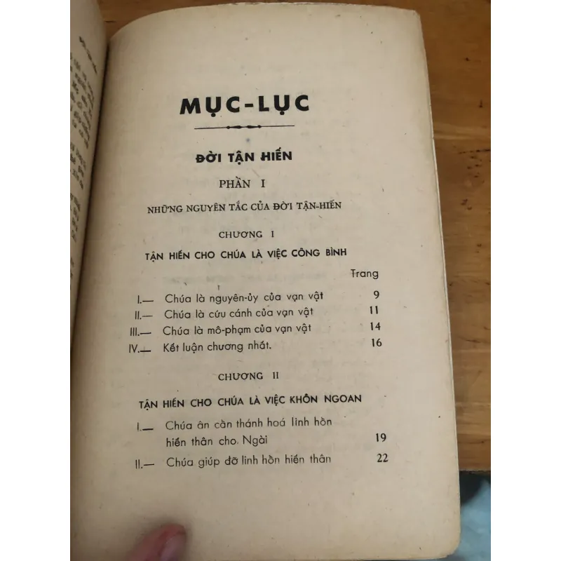 Đời Tận Hiến 1028154