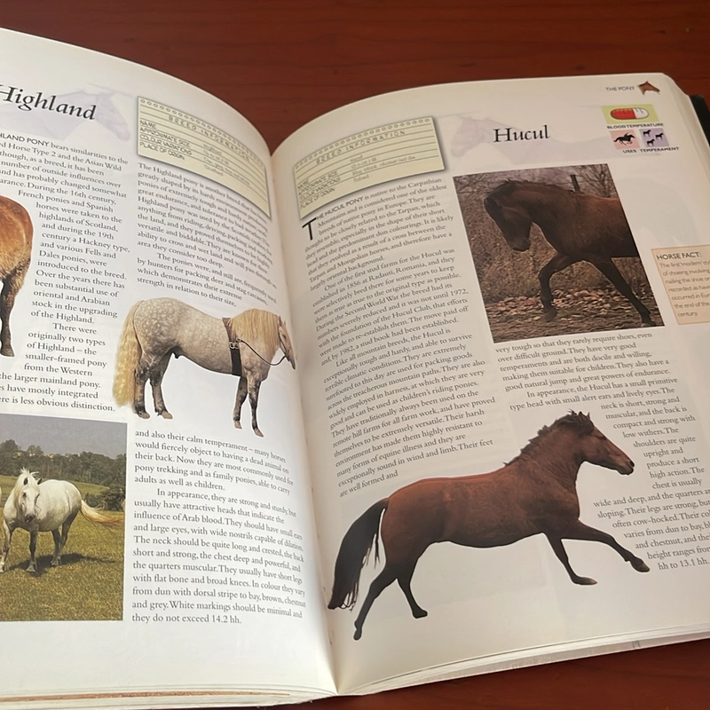 PICTURE BOOK The encyclopedia of horses & ponies 536856