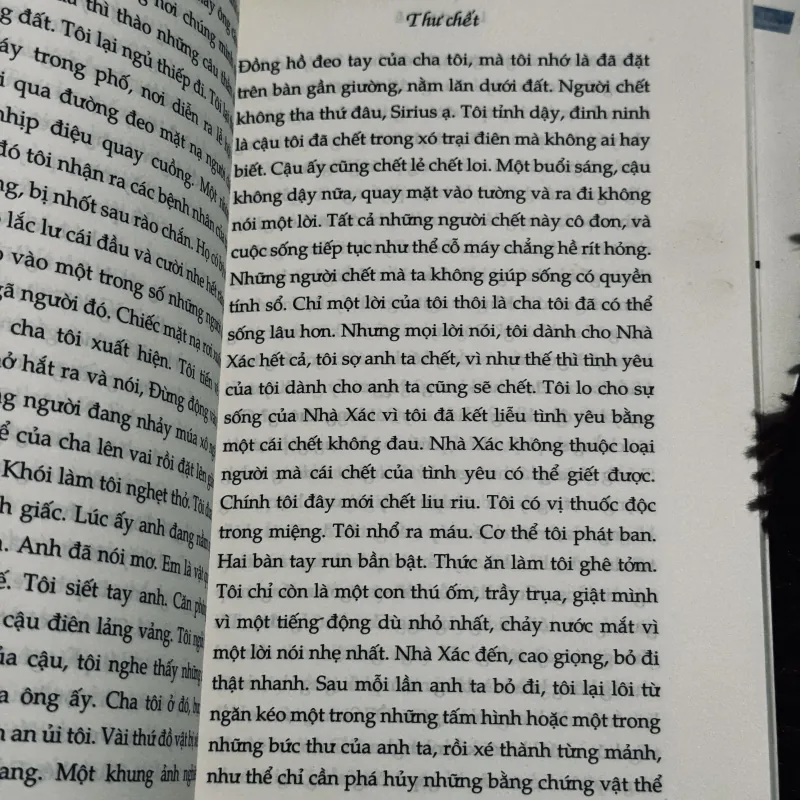 Combo Linda Lê (ko tách lẻ) 996503