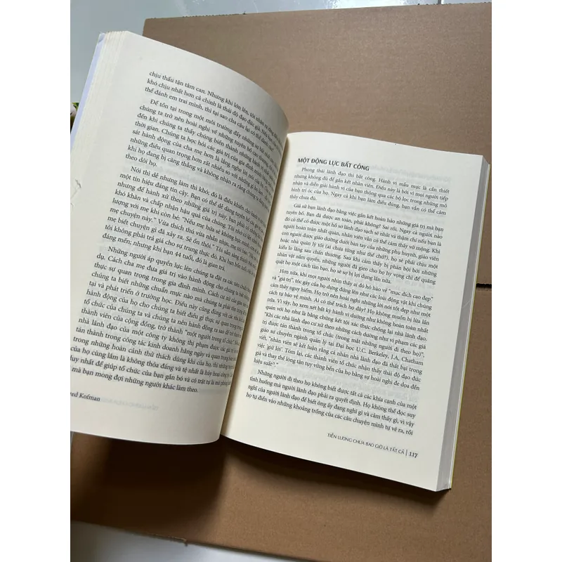 Tiền lương chưa bao giờ là tất cả - Fred Kofman 736969