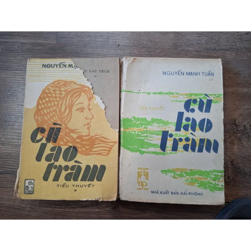 Cù Lao Tràm - Nguyễn Mạnh Tuấn - Văn học/Tiểu thuyết 709625