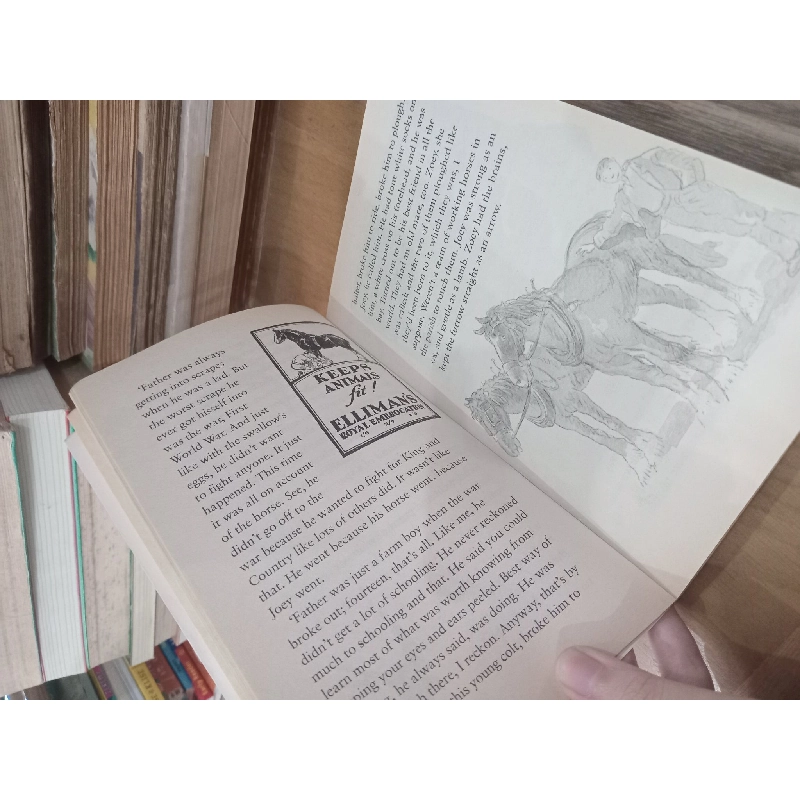 Farm boy - Michael Morpurgo 1022657