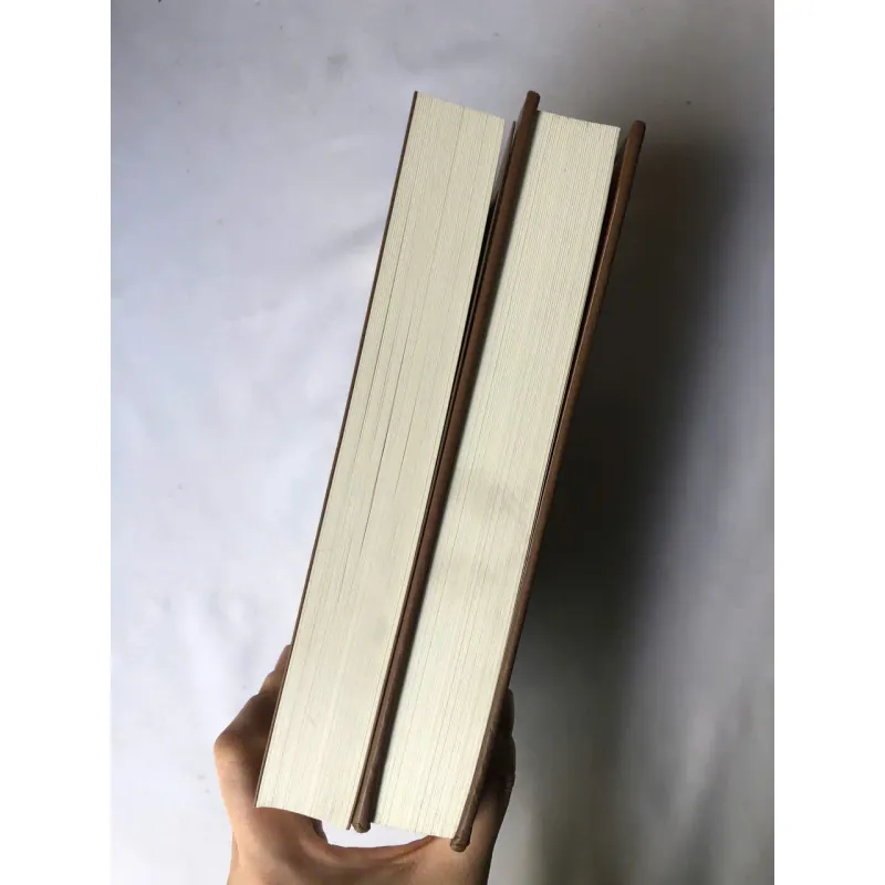 Không gia đình - Hector Malot 734733