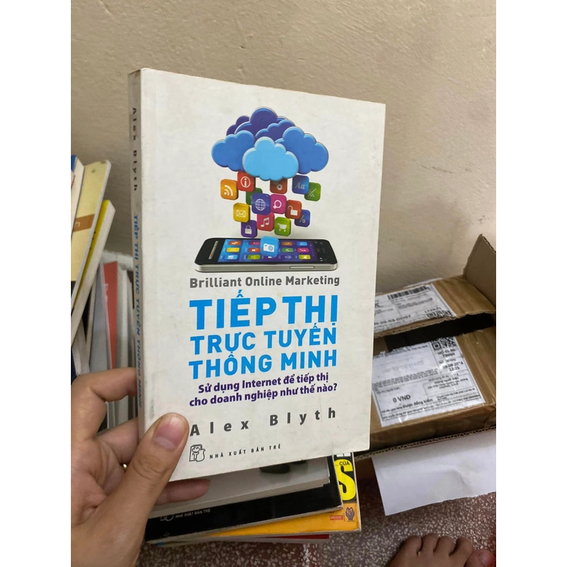 Sách Tiếp thị trực tuyến thông minh (Brilliant online marketing) - Alex Blyth 313241