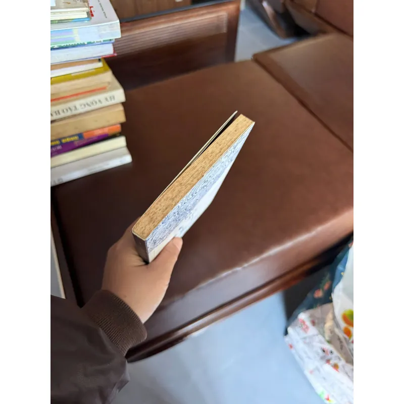 Lưng Chừng Cô Đơn – Nguyễn Ngọc Thạch- K5 1044800