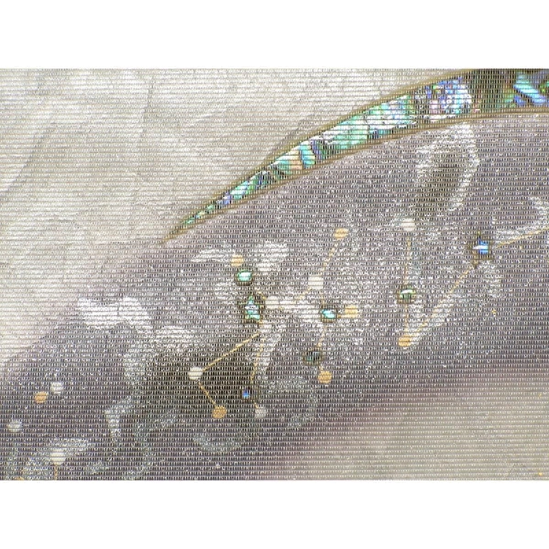 Đai obi - Hàng hiệu Authentic 875771