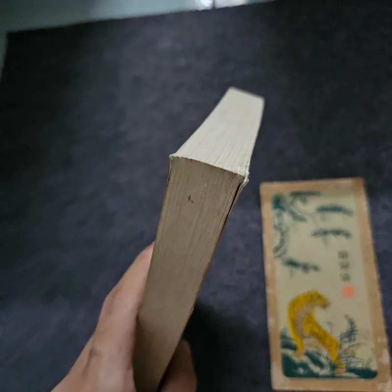 Chân trời có người bay - Đỗ Lai Thúy 736602