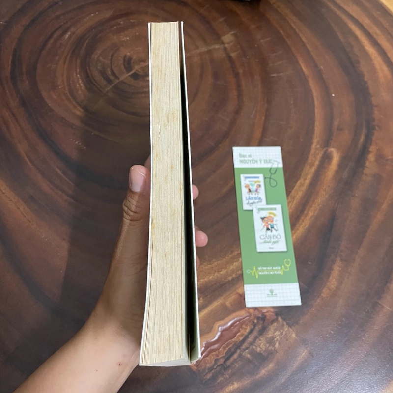 II Sổ Tay Sức Khoẻ Người Cao Tuổi _ Gắn Bó Tuổi Già - BS. Nguyễn Ý Đức - 2017 454580