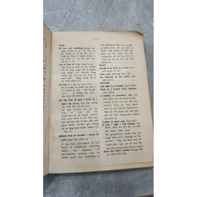 TỪ ĐIỂN THÀNH NGỮ ANH VIỆT - DƯƠNG NGỌC DŨNG 791929